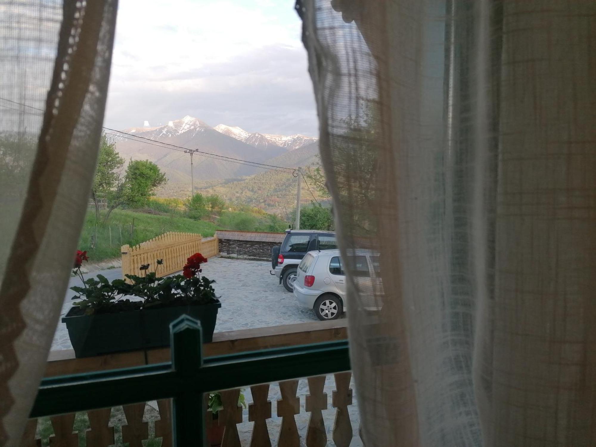 Pensiunea Casuta Din Deal Moisei Habitación foto